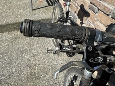 Schwinn Home Grown 9 Speed Bike - Image 1 of 4