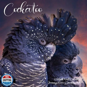 2026 Wall Calendar,Cockatoo Calendar 2026,OWL Monthly Wall Calendar, 12" x 24 - Picture 1 of 5