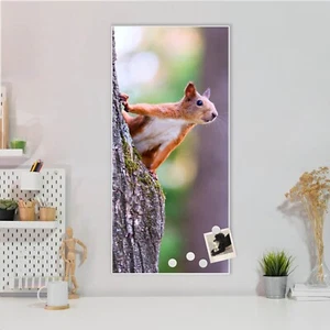 banjado Design Magnetwand aus Metall Motiv Pinnwand Magnettafel Eichhörnchen - Bild 1 von 25