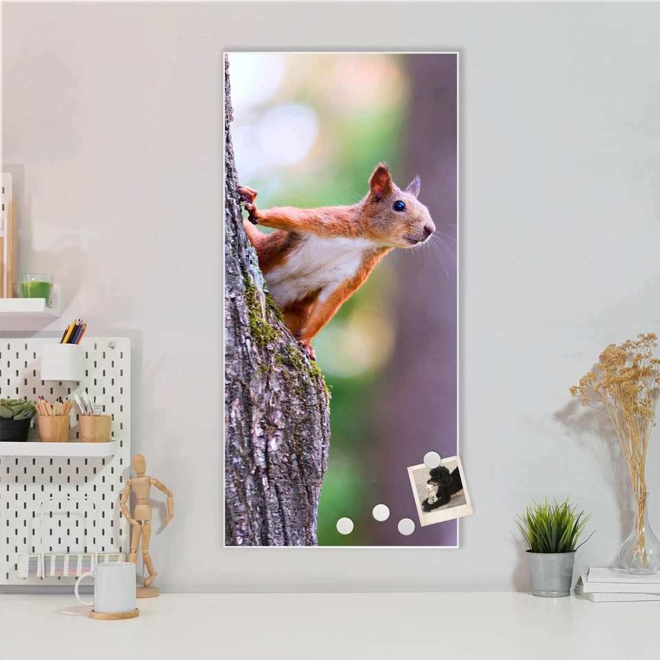 banjado Design Magnetwand aus Metall Motiv Pinnwand Magnettafel Eichhörnchen - Bild 1 von 1