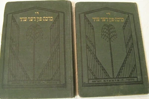 1925 Growth Of The Soil By Knut Hamsun Warsaw In Yiddish Di Bracha Fun Der Erd - Picture 1 of 20