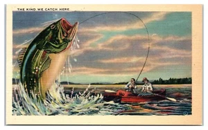 Postal de pesca de exageración cómica tipo capturamos - Imagen 1 de 2
