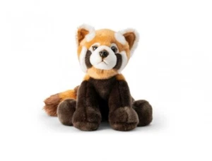 Roter Panda - Bild 1 von 1