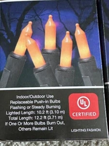 HALLOWEEN Green Wire 50 ORANGE LIGHT Set INDOOR/ OUTDOOR 12.2 ft TX - Picture 1 of 3