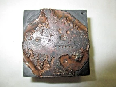 Zeese Chicago Fruit Bowl Still Life Print Block Copper Zinc Typeset Ad Antique - Image 1 of 4