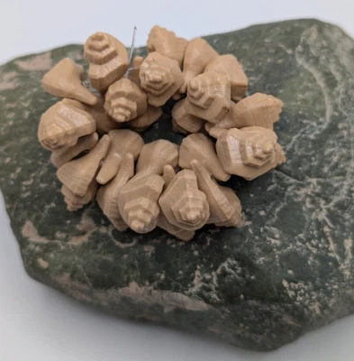 1 STRAND VINTAGE GERMAN PLASTIC 13 X 22 MM OPAQUE BEIGE CONCH SHELL BEADS - Image 1 of 2