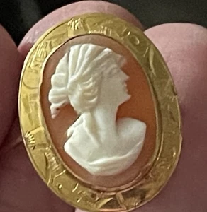 Vintage 14K Gold Kamee Brosche Karneol geschnitzt Muschel griechische römische Frisur - Bild 1 von 8