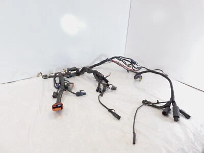 Conjunto de arnés de cableado eléctrico principal Harley Davidson Sportster 883 1200 Foto 1 de 4