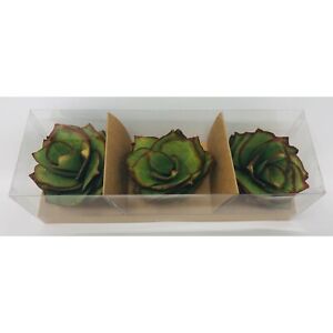 Hallmark Handcrafted Decorative Succulents Plants Set of 3 Accessories