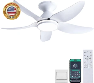 Ceiling Fans with Lights and Remote/App Control, 38 Inch Low Profile Flush Mount - Picture 1 of 9