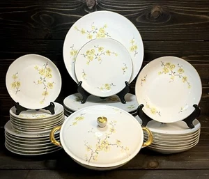 Johann Haviland Bavaria Yellow Floral Branches China Set For 8 And Serving Bowl - Picture 1 of 13
