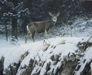 Robert BATEMAN Mule Deer In Snow Art Signed Print LTD Collectible Rare Elk Moose - Picture 1 of 8