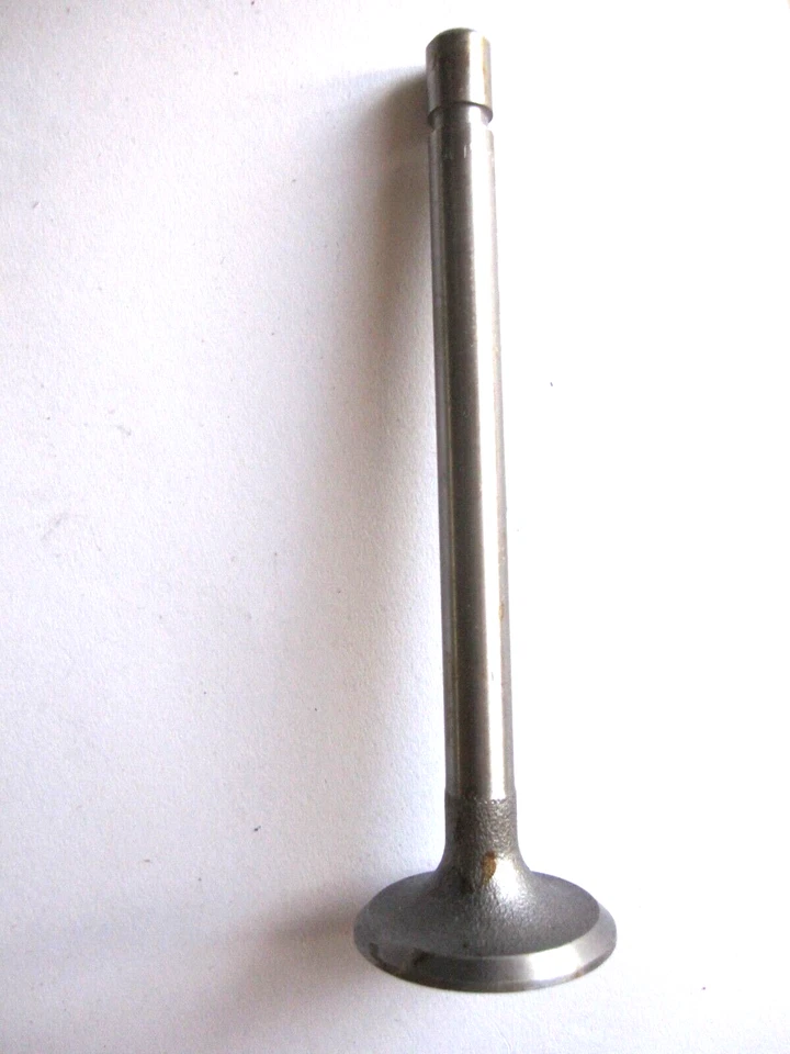 FIAT 1100 1957-59, 1200 TV VÁLVULA DE ADMISIÓN TRANSFORMABLE ¡NUEVA! Foto 1 de 1