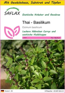 SAFLAX - Anzuchtset - Thai - Basilikum - 200 Samen - Bild 1 von 7