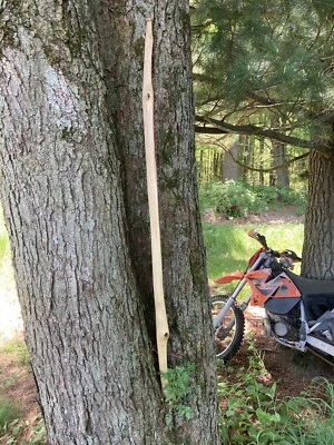 Handcrafted Sinew Backed Primitive Flat Bow /walking Stick ,56lb/27” - Imagem 1 de 3