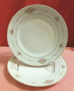 Juego de 2 platos de pan Nippon China pintados a mano vintage Noritake "James China" - Imagen 1 de 7