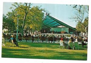 Carte postale vintage Floride chrome concert groupe de Pétersbourg coquille Williams Park
