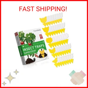 40 Pcs 5 Shapes Yellow Extremely Sticky Traps for Fruit Fly, Whitefly, Fungus Gn - Picture 1 of 2