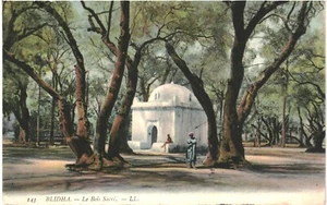CPA Carte postale Algérie Blidha Le Bois Sacré 1907 VM83309ok - Picture 1 of 2