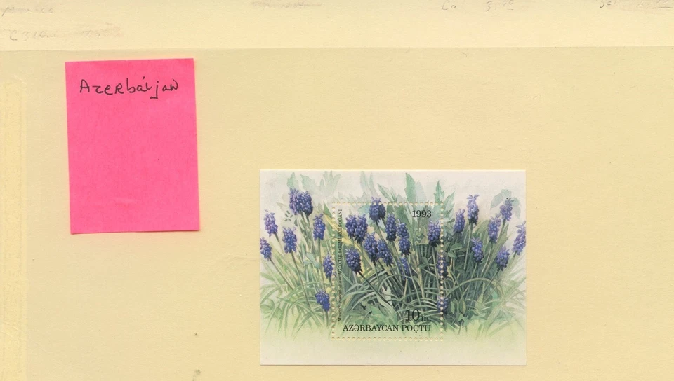 Azerbaijan Flowers stamp MNH - Image 1 of 1