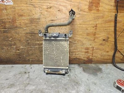 Arctic Cat 250 2007 Arctic Cat 250 radiador 3303-737 utilitario 250 radiador a Foto 1 de 4