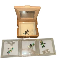 4er Set zerschmetterende Glas Libelle Weinuntersetzer Neuseeland in aufklappbarer Holzbox - Bild 1 von 7
