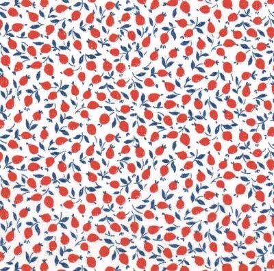 Liberty Tana Lawn fabric - Liberty Ed 100% Cotton