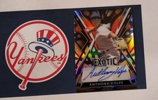 2023 LEAF EXOTIC BASEBALL ANTHONY VOLPE PRISMATIC BUTTERFLY AUTOGRAPH AUTO RC /3