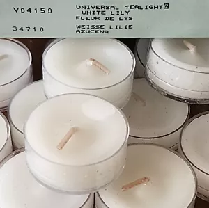 NUEVO Retirado PartyLite Velas Tealight LIRIO BLANCO Caja de 12 Votivos Redondos - Imagen 1 de 4