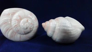 Salero y pimentero Otagiri Seashell Nautilus caracola artesanal Japón vintage - Imagen 1 de 6