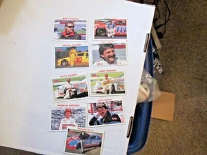 Lote de 9 tarjetas de campeones de carreras con Richard Petty/Davey Allison  - Imagen 1 de 5