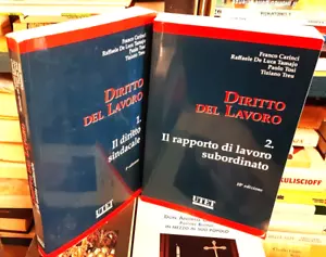 DIRITTO DEL LAVORO - SINDACALE - SUBORDINATO - TREU CARNCI TOSI TAMAJO - UTET - Imagen 1 de 10