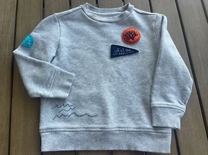 Gymboree Save Our Reefs Crew Sweatshirt Gray Boys Size XS (4) - Picture 1 of 11