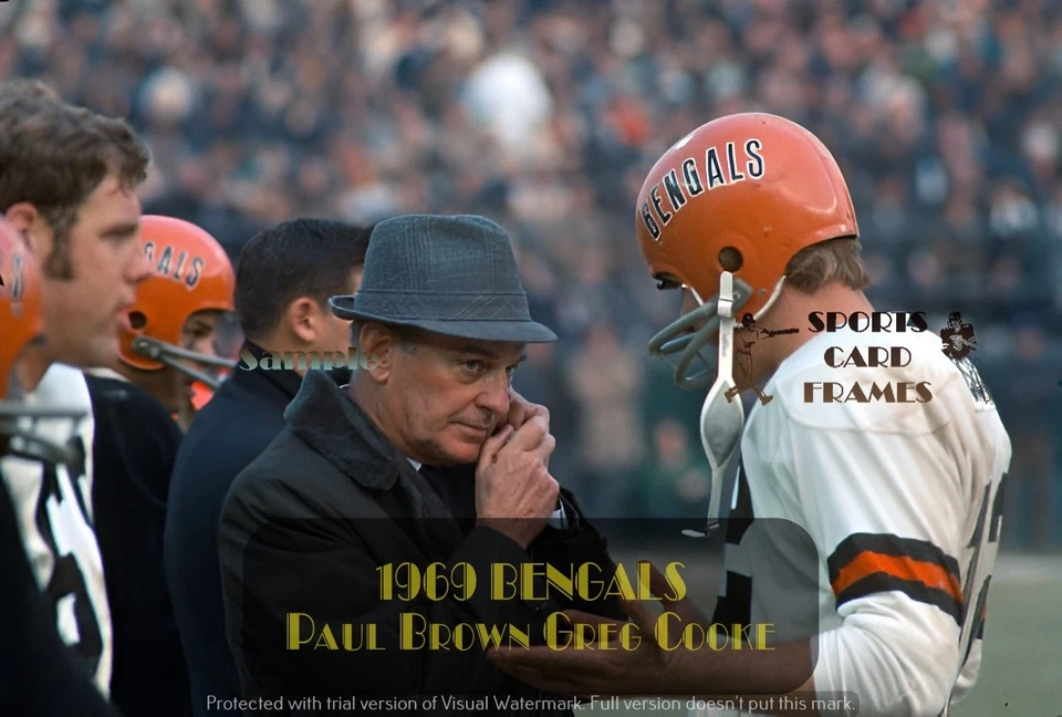 IMPRESIÓN Paul Brown Cincinnati Bengals (5 tallas) Foto 1 de 1