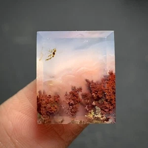 Tiny Scenic Moss Agate Cabochon 17x14x5mm High Quality 15.5 ct - Picture 1 of 5