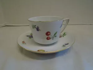 Florence Baronet Fruit Flowers Eschenbach China Porcelain Bavaria Cup Saucer - Picture 1 of 5