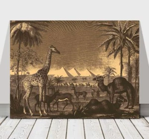 VINTAGE African Animals & Pyramids - CANVAS ART PRINT POSTER - Giraffe - 12x8" - Picture 1 of 1