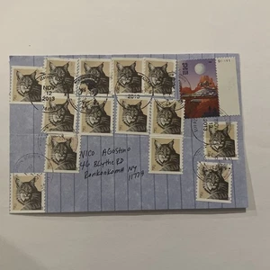 2013 President Woodrow Wilson Bildabbruch Staunton VA - Bild 1 von 2