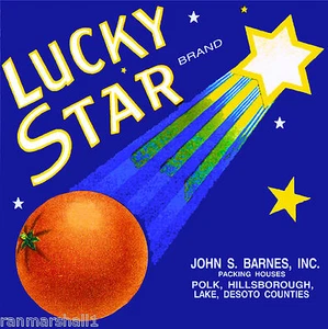 Polk Florida Lucky Star Orange Citrus Fruit Vintage Crate Label Art Print - Picture 1 of 1