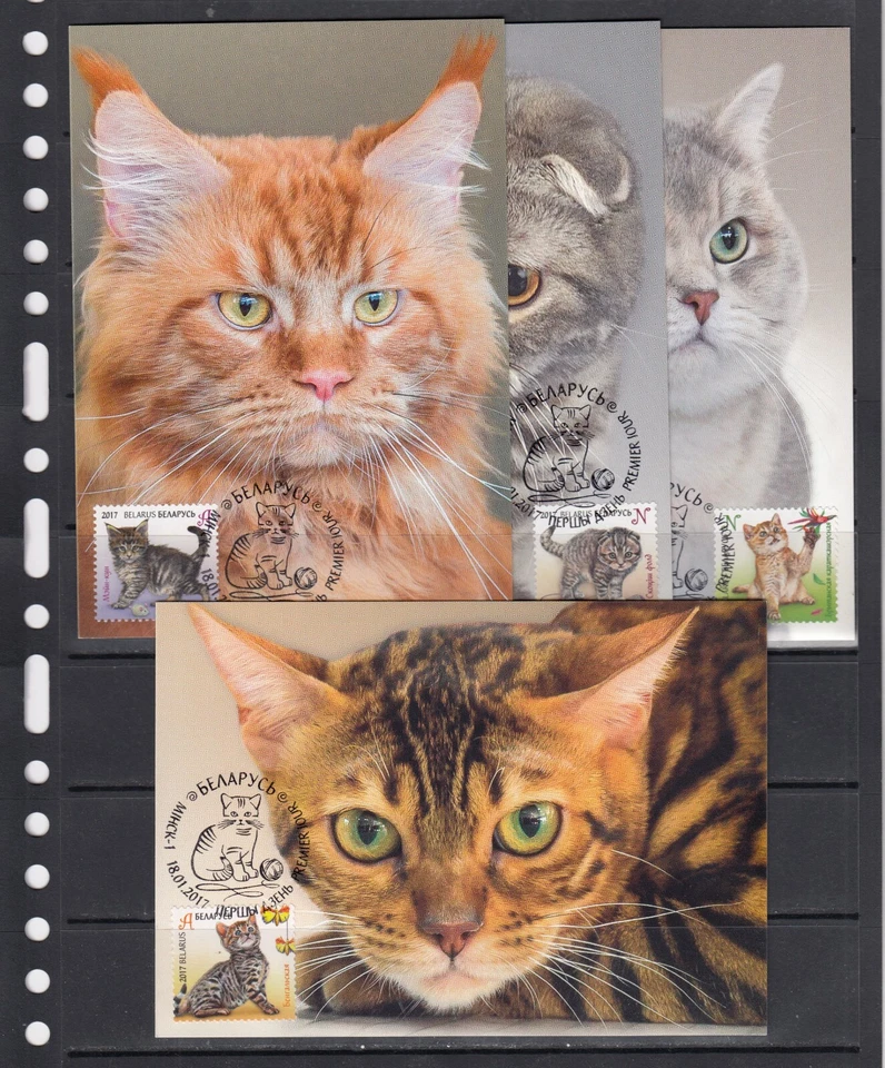 Cats Animals 2017 Belarus 4 v complete set  - 4 Maximum Card - Image 1 of 3