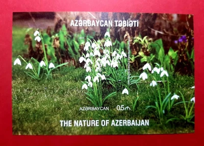 Azerbaijan 2017 * NATURE * FLOWERS * BLOCK * IMPERF * MNH - Image 1 of 2