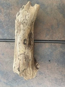 Natural Driftwood for Plants Terrarium Taxidermy Art Projects - Picture 1 of 5