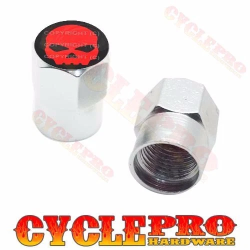 2 Tapas de válvula personalizadas de aluminio Billet plateadas hexagonales para motocicleta - RED SKULL G Foto 1 de 1