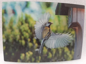 3D Lenticular Postcard Bird Titmouse by Schoening Verlag, new - Picture 1 of 1