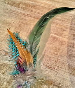 feather for Hat Band for Stetson Akubra and Other Style hats accessories - Picture 1 of 2
