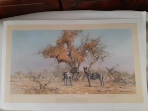 DAVID SHEPHERD " ZEBRAS AND COLONY WEAVERS" Signed LE . 850 Stamped by FATG - Picture 1 of 10