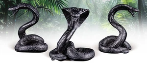 The Year of the Snake. 3D" Samoa 5$ 2025 99,9% Silver coin 3 oz - Picture 1 of 6