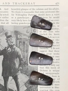 6 Vintage Shell Buttons 20mm x 35mm Oblong Awabi Abalone Rowan Charcoal Smoke - Picture 1 of 3