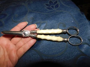 ANTIQUE GRAPE SCISSORS WITH ANTLER OR CELLULOID HANDLES - Picture 1 of 5