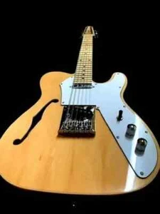 NEW CUSTOM-MADE SANTOS ROSEWOOD SEMI-HOLLOW ST. SEMI-HOLLOW ELECTRIC GUITAR - Picture 1 of 13